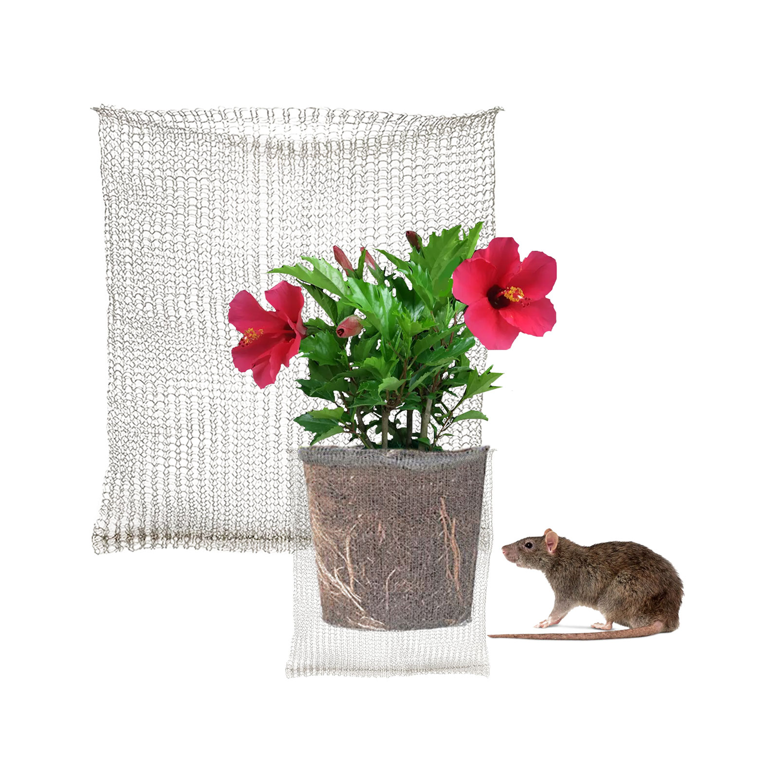 Plant Root Guard Baskets Garde - Mesh Stainless Strap ulasan dan harga