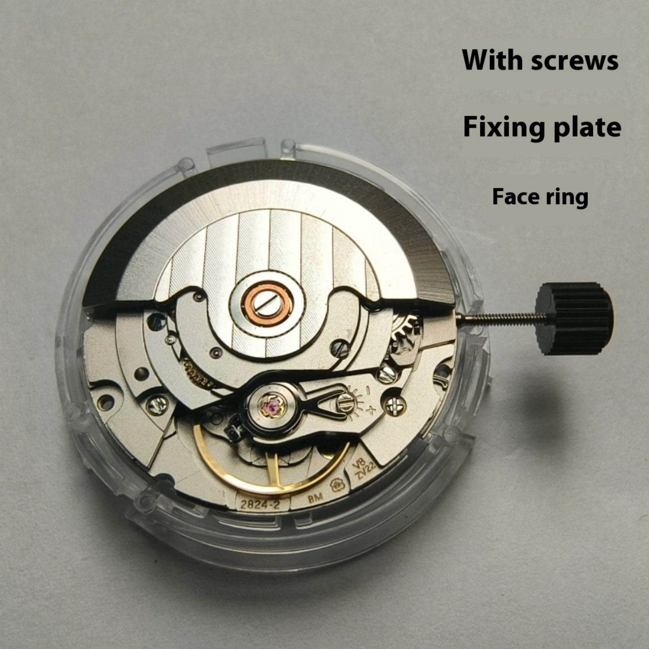 V8 Stainless Steel Eco-Friendl - Watch V8 ulasan dan harga