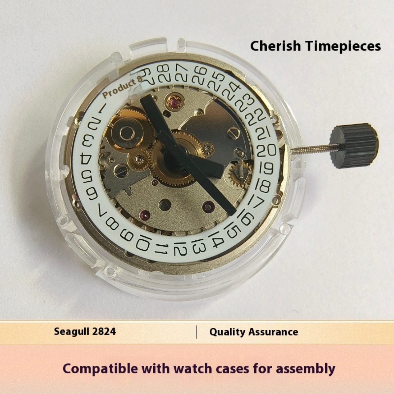 V8 Stainless Steel Eco-Friendl - Watch V8 ulasan dan harga